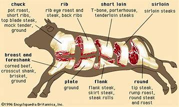 What Is the Beef Round Primal Cut?