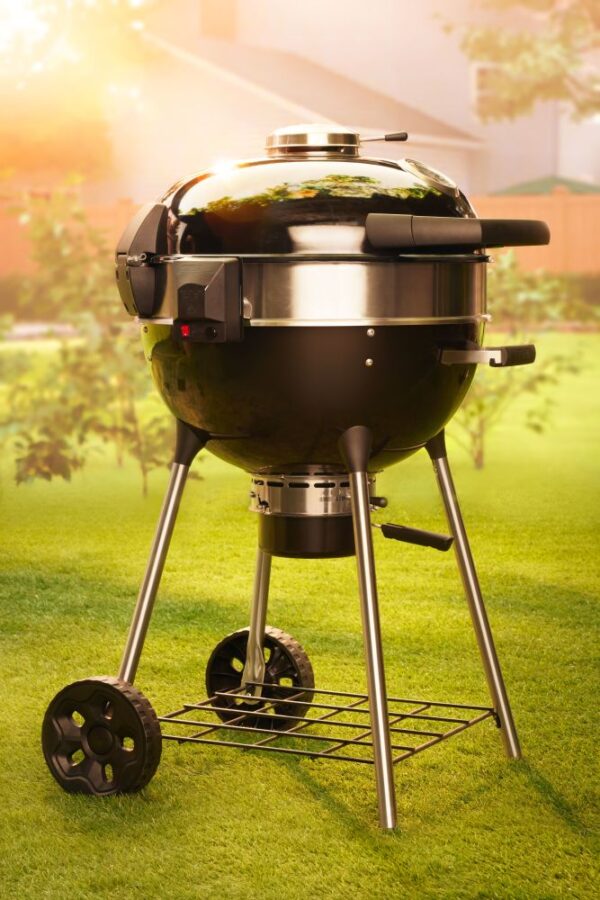 Napoleon Grills 22" Professional Charcoal Kettle Grill